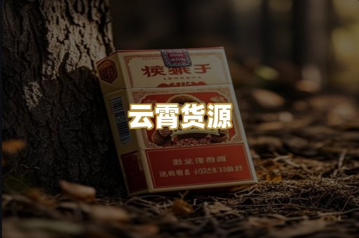 云霄货源